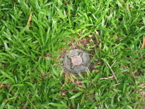 Anti_personnel_mine fast fold poker strategy landmine setmine