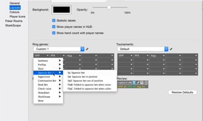 Poker Co Pilot interface